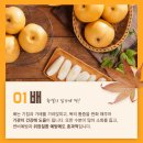 과일·담음