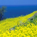 국민 공인중개사사무소 이미지