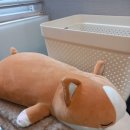 셀린피부과의원 이미지