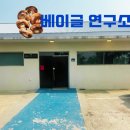 베이글연구소