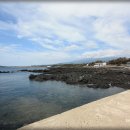 방울풍뎅이 이미지