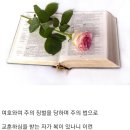 새날목장 이미지