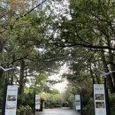 제주 씨에스호텔 앤 리조트 (THE SEAES) 솔직 숙박 후기 룸업그레이드 (제주도 5성급 호텔 리조트)