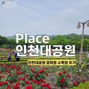 [인천] 인천대공원 장미, 인천대공원 수목원 장미원 후기 (240525 방문)