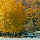 은영목장 이미지