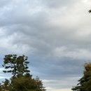 바디디자인 이미지