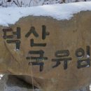 평창카센타 이미지