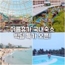 놓치면 후회하는 여름휴가 국내여행 수영장 호텔 리조트 호캉스 특가예약