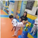 블랙벨트 태권도 도장 이미지