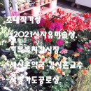 순수기획