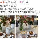센토브