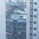청십자약국 이미지