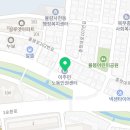 청주 애견유치원 꼬리흔들개Lucky 이미지