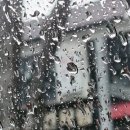 강남대로16길 8 이미지