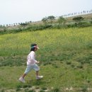 민지목장 이미지