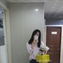 갱이하우스 이미지