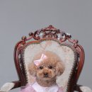 멋지개 예쁘개 이미지