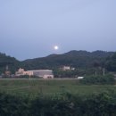 연잎가마솥왕족발 이미지