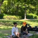 작은숲요가