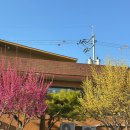 배스킨라빈스31속초점 | 2026년 3월 일기 : 잔병치레 이제 그만!