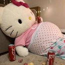 라벨라쿠치나 이미지