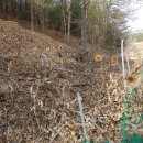 치우농장 이미지