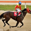 캡틴축산 이미지