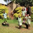 삼겹이네 이미지