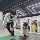 큰나무태권도장 이미지