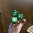 닭발이와오돌이