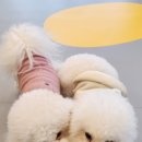 고잔유치원 이미지