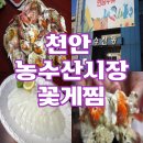 완도회수산 | 천안 농수산시장 꽃게찜 완도수산 암꽃게 갑오징어 회 가격정보 포장 후기
