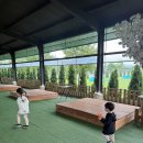 목장053 | 아이와 주말 나들이 🍀💚 대구 근교 목장053 체험 후기