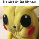 한재로 | 용인 명지대 삼겹살맛집 목구멍 용인역북점