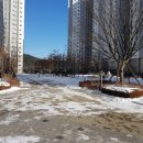 원도안로-1 이미지