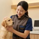 에스앤씨컴퍼니 이미지