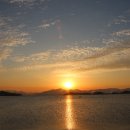 잘하자 돼지야 이미지