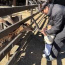 평창in게스트하우스 | 평창 켄싱턴리조트 두번째 방문 후기 (패키지로 아이랑 완벽한 여행)