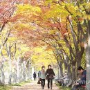 창원광장 앞 중앙대로 이미지