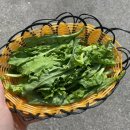 삼천목장 이미지