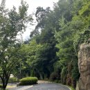 백옥대로1081번길 이미지