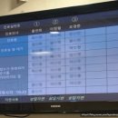 임당1동 | 임신24주차 일기 분당서울대병원 첫 진료 &amp; 임당검사 후기