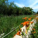 대연수목전시원 이미지