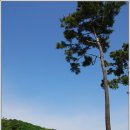 화성상록GC