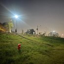 여주) 금은모래 캠핑장 &#34;은 모래 구역&#34; 힘들었던 후기.. (내 돈 내산) 주차팁 및 사이트 팁