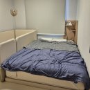 퀸 비아 클럽 | 일룸 헤이븐 매트리스 + 쿠시노 패밀리침대 세달 사용후기 🛏