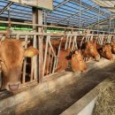 연화축사 이미지