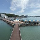 강진-39 | 전남 가볼 만한 곳. 강진 가볼 만한 곳 &#34;마량 놀토 수산 시장&#34;은 가성비가 최고
