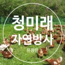 청미래 농장 이미지