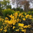 향기가득길 이미지